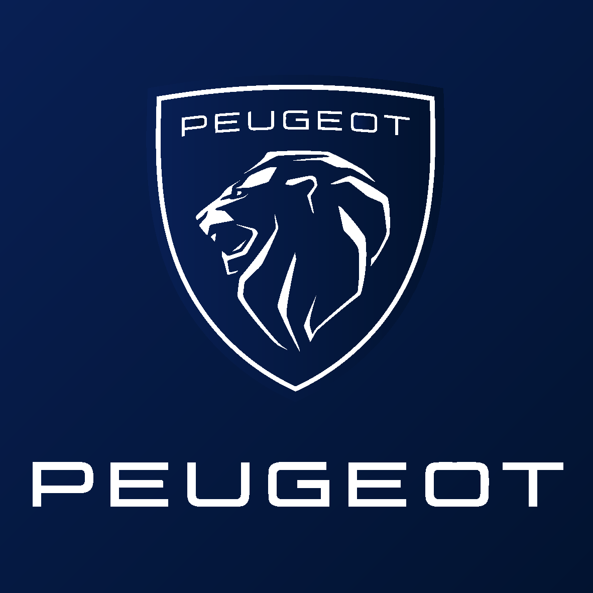 Livrées graphiques voitures Peugeot