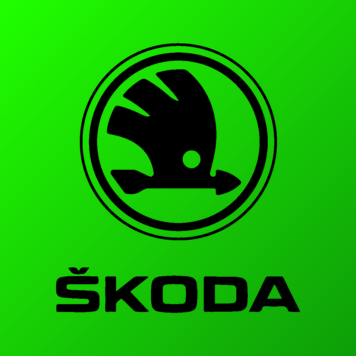 Livrées graphiques voitures Skoda