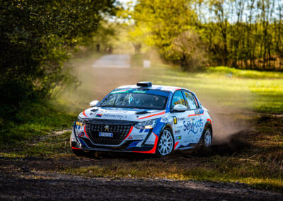 Livrée graphique Peugeot 208 Rally4 Amaury Molle Delta Rally Motorsport Graphic Design